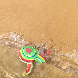 Turtle Escultura de Flip Flops